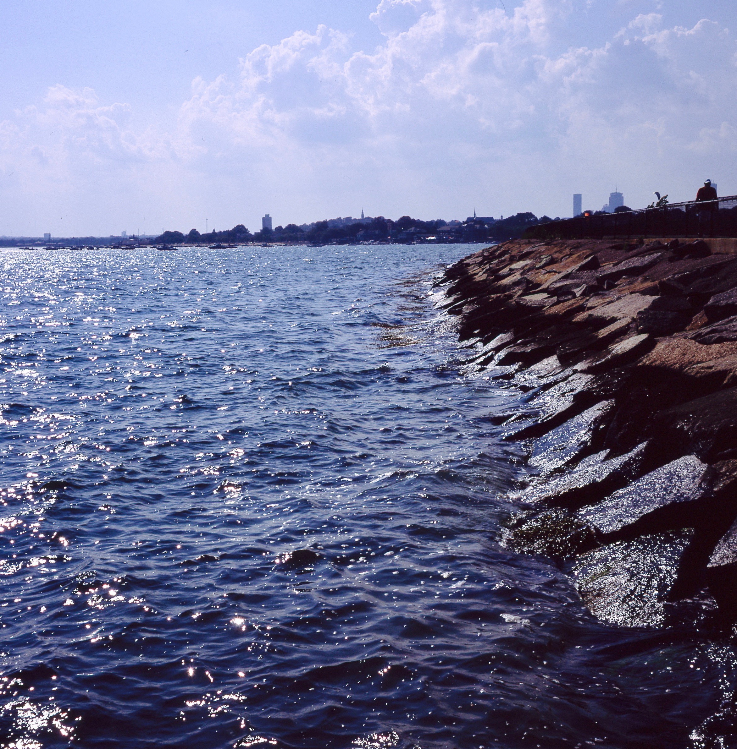 50296722131_5d06f21a28_o