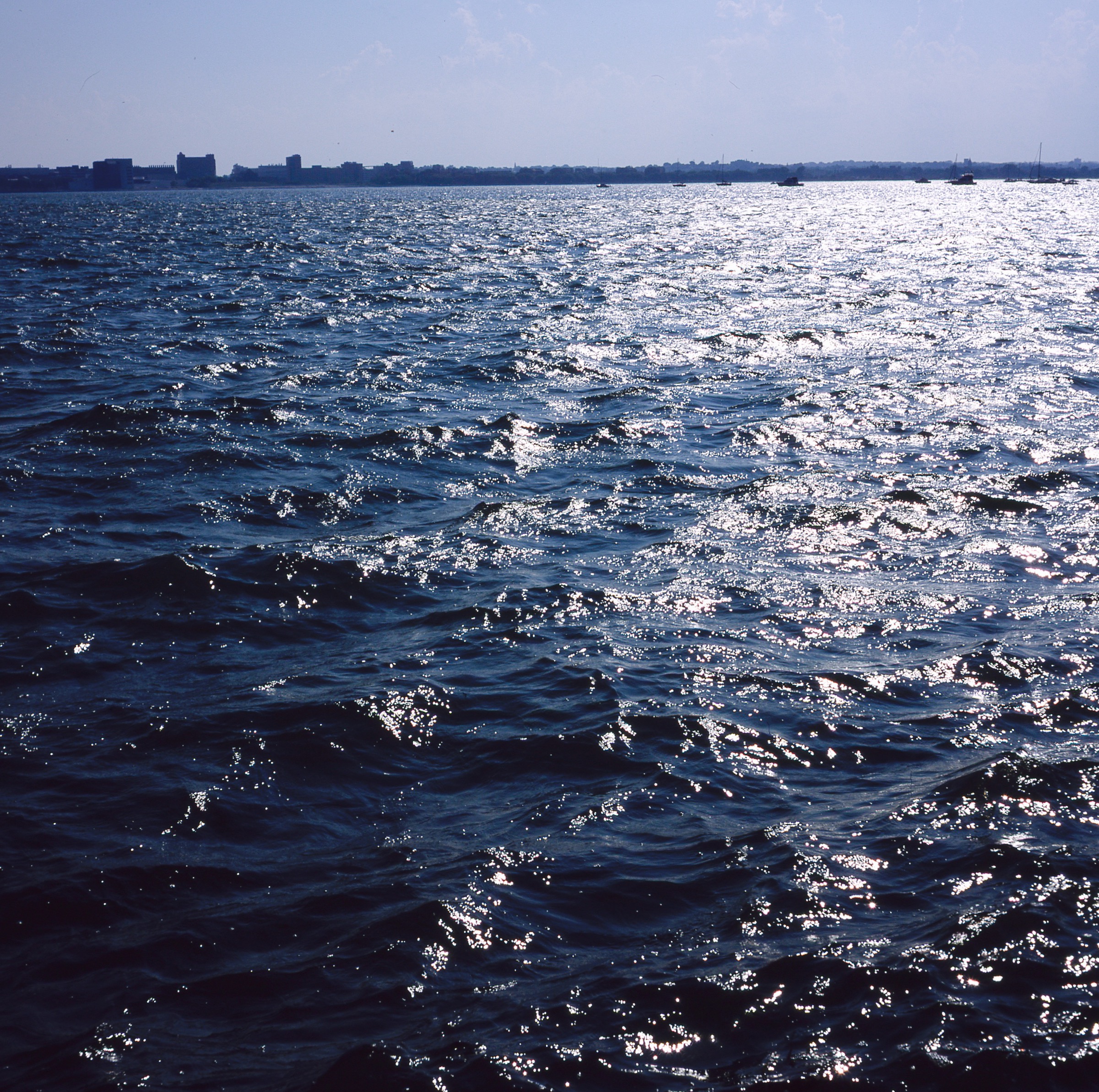 50296879487_9fc404c61d_o